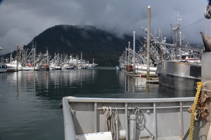 harbor scene